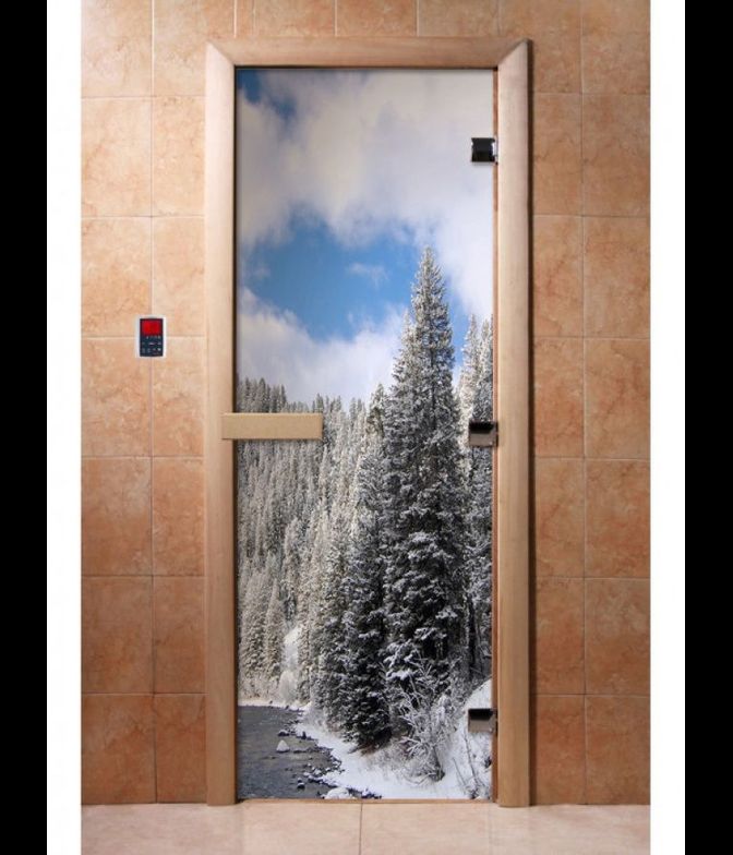 Дверь с фотопечатью, А095