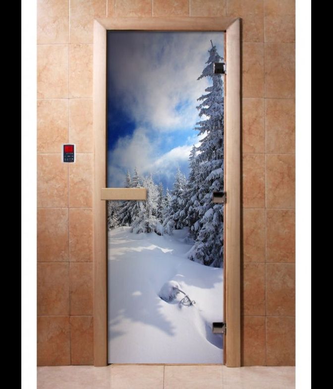 Дверь с фотопечатью, А081