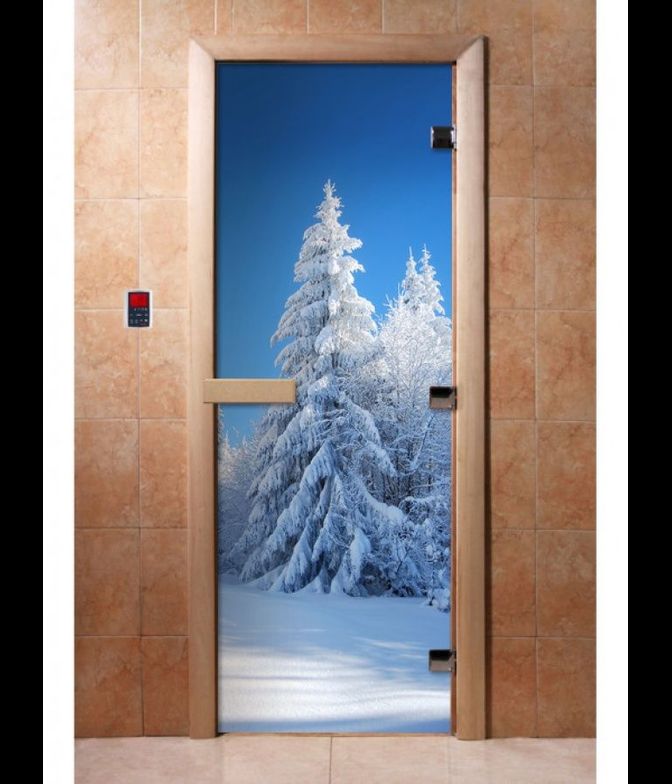 Дверь с фотопечатью, А079