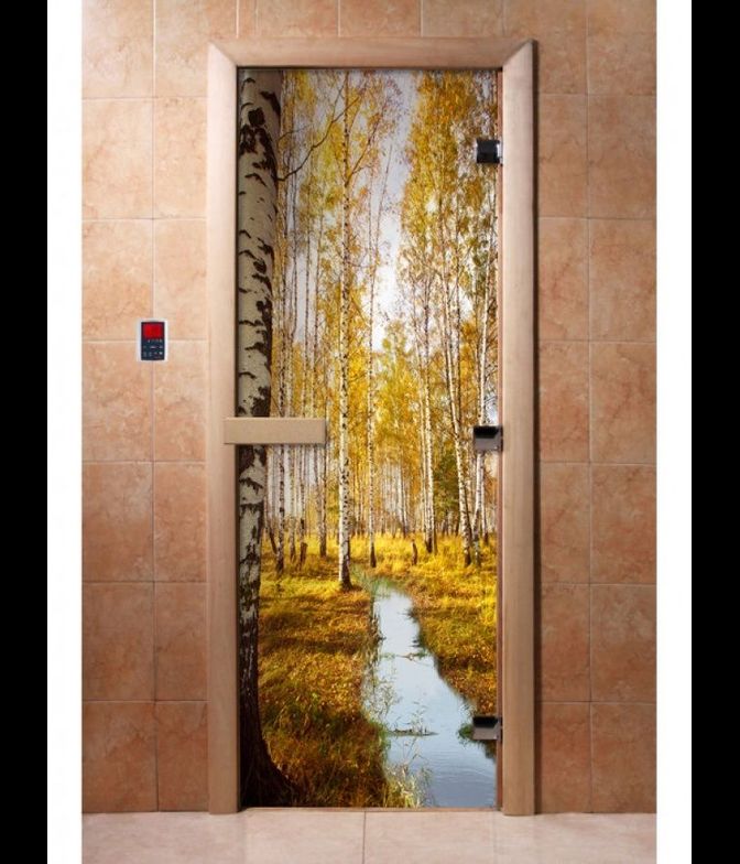 Дверь с фотопечатью, А082