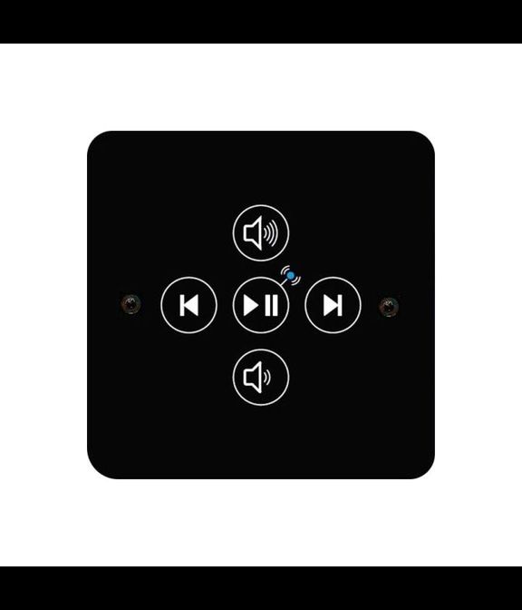 Аудиосистема, пульт управления музыкой Fasel