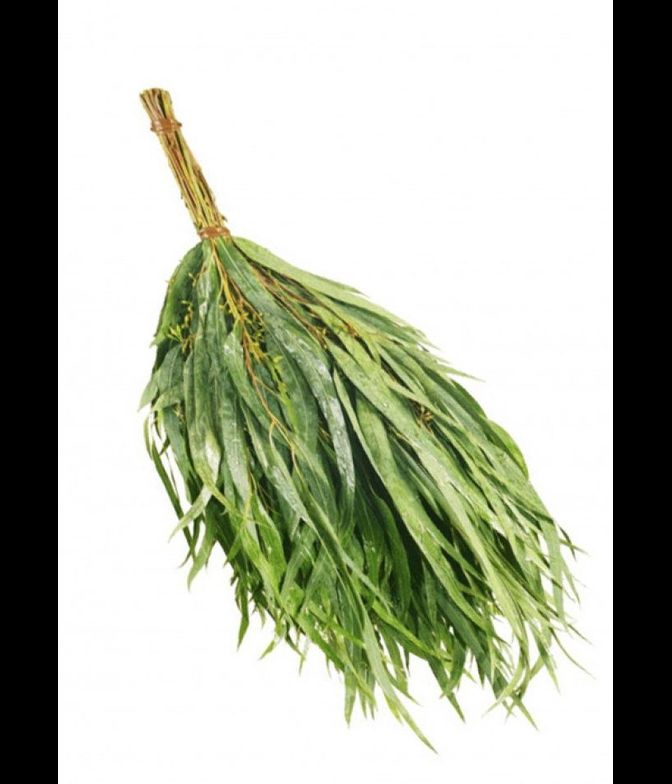 Эвкалиптовый веник