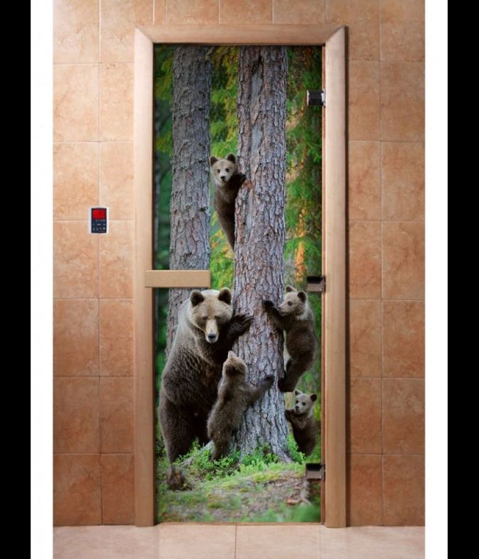 Дверь с фотопечатью, А064