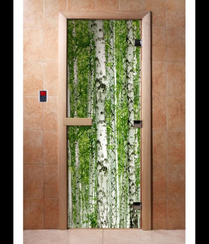 Дверь с фотопечатью, А084